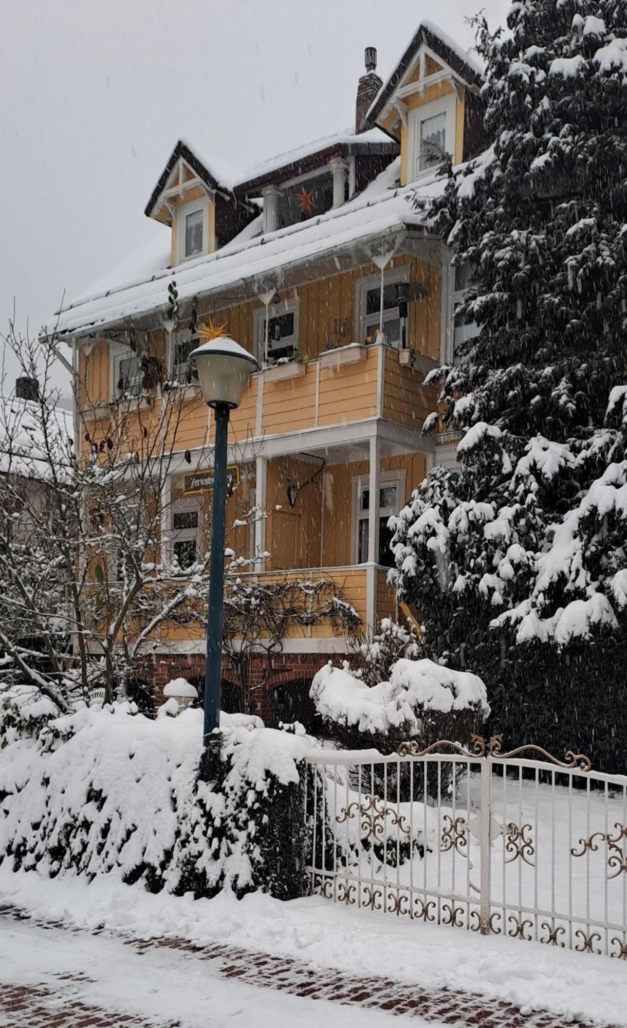 Erika'S Haus In Der Sonne Daire Bad Grund Dış mekan fotoğraf